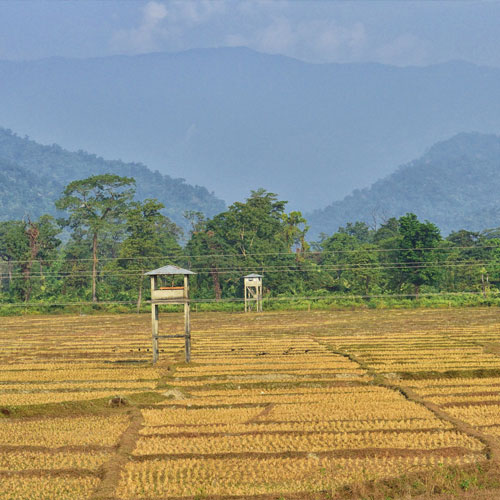 Jaldapara National Park
